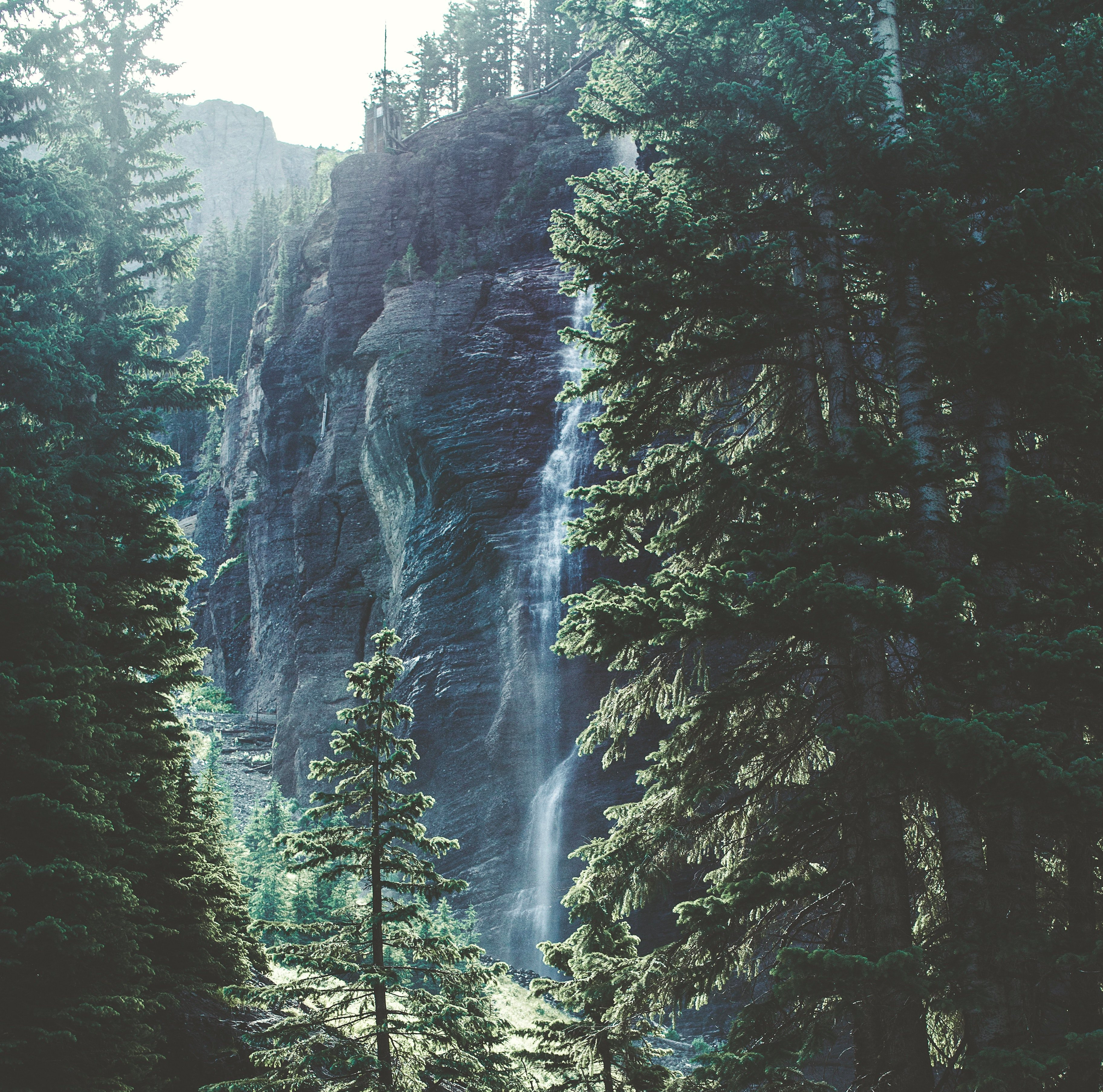 addiction and mental health consulting services